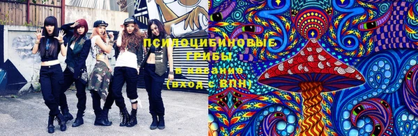 ГАЛЛЮЦИНОГЕННЫЕ ГРИБЫ Алексин