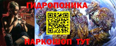 гашик Гусь-Хрустальный