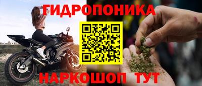 PSILOCYBIN Гусиноозёрск