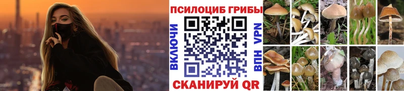 Псилоцибиновые грибы Psilocybe  дарнет шоп  кракен онион  Гусь-Хрустальный 