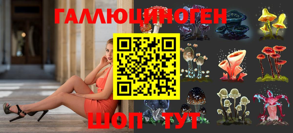 Псилоцибиновые грибы Magic Shrooms  Галлюциногенные грибы Psilocybe  Гусь-Хрустальный  Вход с VPN 